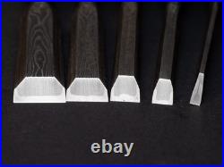 Fujihiro Damascus Mokume 10x set 3-42mm Japanese Bench Chisel Oire Nomi W#1