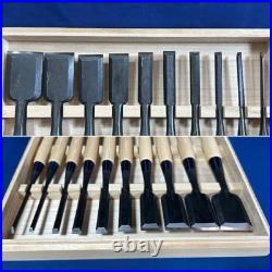 Fujihiro Oire Nomi Japanese Bench Chisels White Steel #2 White Oak Set of 10