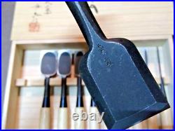 Funahiro Tenkei Japanese Bench Chisel Oire Nomi Funazu Yuji White Oak Set of 10