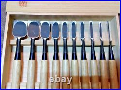 Funahiro Tenkei Japanese Bench Chisel Oire Nomi Funazu Yuji White Oak Set of 10