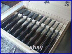 Genju Funahiro Nomi Ebony Pattern Japanese Bench Chisels Set of 10 #N152