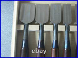 Genju Funahiro Nomi Ebony Pattern Japanese Bench Chisels Set of 10 #N152