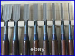 Genju Funahiro Nomi Ebony Pattern Japanese Bench Chisels Set of 10 #N152