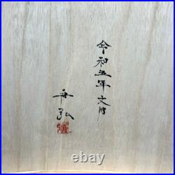 Genju Funahiro Oire Nomi Damascus Mokume Japanese Bench Chisels Set of 15
