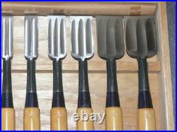 Genju Funahiro Oire Nomi Japanese Bench Chisels Multi Hollows Set of 10 Boxwood