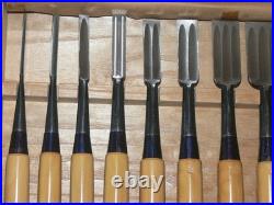 Genju Funahiro Oire Nomi Japanese Bench Chisels Multi Hollows Set of 10 Boxwood