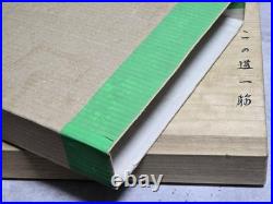 Genju Funahiro Oire Nomi Japanese Bench Chisels Set of 10 With Box Used