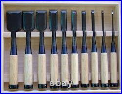 Hanyu Yasushi Damascus Oire Nomi Japanese Bench Chisels Set of 10 Red Oak Handle