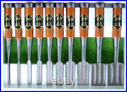 Hanyu Yasushi Oire Nomi Japanese Bench Chisels Set of 10 Multi Hollows Polished