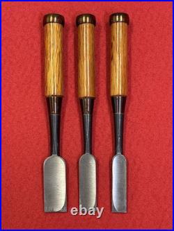 Hidari Hisasaku Oire Nomi Japanese Bench Chisels Set of 10 With Box Used