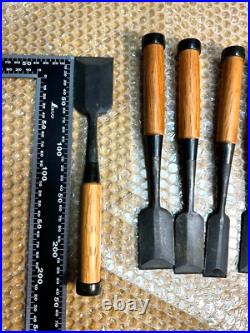 Hidari Hisasaku Shinogi Oire Nomi Japanese Dovetail Bench Chisels Set of 10