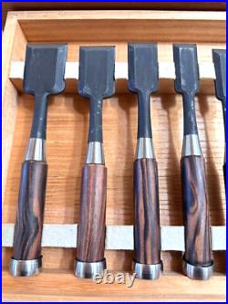 Hidari Ichihiro Oire Nomi Japanese Bench Chisels Yamasaki Shozo Set of 10 With Box