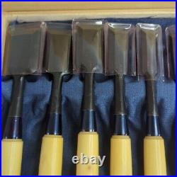 Hidari Ichihiro Oire Nomi Japanese Bench Chisels Yamasaki Shozo Silverberry New