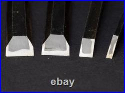 Hidari Nobuhiro Iwazaki Eisuke 10x set 3-42mm Japanese Bench Chisel Oire Nomi