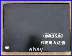 Hidari Osahiro Tokyo Oire Nomi Japanese Bench Chisels Set of 10 Boxwood Handle