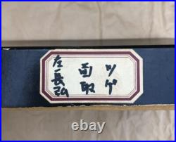 Hidari Osahiro Tokyo Oire Nomi Japanese Bench Chisels Set of 10 Boxwood Handle