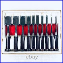 Hiromasa Oire Nomi Japanese Bench Chisel Set of 10 Hasegawa Fujisaku
