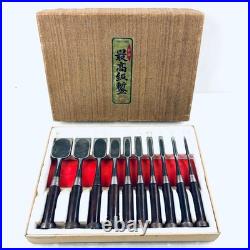 Hiromasa Oire Nomi Japanese Bench Chisel Set of 10 Hasegawa Fujisaku