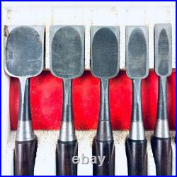 Hiromasa Oire Nomi Japanese Bench Chisel Set of 10 Hasegawa Fujisaku