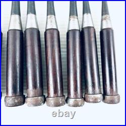 Hiromasa Oire Nomi Japanese Bench Chisel Set of 10 Hasegawa Fujisaku