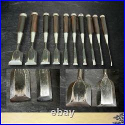 Ikkansai Japanese Oire Nomi Chisels 10pc Set Bench Woodworking Tool Vintage