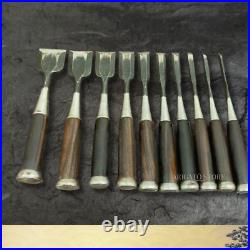 Ikkansai Japanese Oire Nomi Chisels 10pc Set Bench Woodworking Tool Vintage