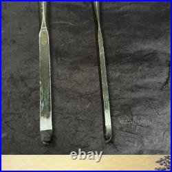 Ikkansai Japanese Oire Nomi Chisels 10pc Set Bench Woodworking Tool Vintage
