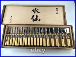 Ioroi Japanese Vintage Bench Chisels / Oire Nomi Set of 20 Suisen Unused
