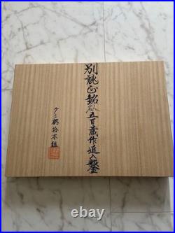Ioroi Oire Nomi Japanese Bench Chisels Set of 10 Gummiwood Handle Unused