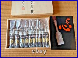 Ioroi Suminagashi Oire Nomi Japanese Bench Chisels Set of 10 Ebony Unused