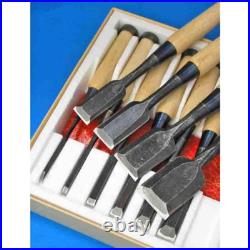 Iwasaki Oire Nomi Japanese Bench Chisels Set of 10 White Steel #2 New