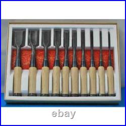 Iwasaki Oire Nomi Japanese Bench Chisels Set of 10 White Steel #2 New