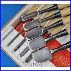 Iwasaki Oire Nomi Japanese Bench Chisels Set of 10 White Steel #2 New