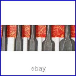 Iwasaki Oire Nomi Japanese Bench Chisels Set of 10 White Steel #2 New