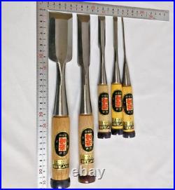 Iwasaki Oire Nomi Japanese Bench Chisels Set of 5 Unused