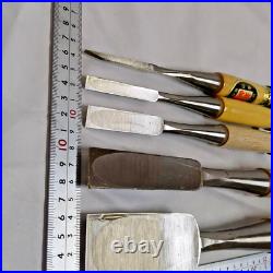 Iwasaki Oire Nomi Japanese Bench Chisels Set of 5 Unused