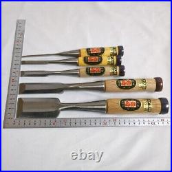 Iwasaki Oire Nomi Japanese Bench Chisels Set of 5 Unused