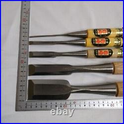 Iwasaki Oire Nomi Japanese Bench Chisels Set of 5 Unused