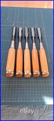 Japanese Bench Chisel Oire Nomi Set of 13 21, 24, 30, 36mm Used