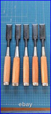 Japanese Bench Chisel Oire Nomi Set of 13 21, 24, 30, 36mm Used