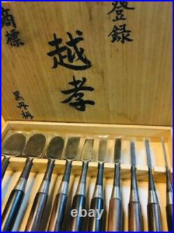 Japanese Carpenter Tool Oire Nomi 10 Wood Chisels Set Koshiko Vintage Ebony DHL