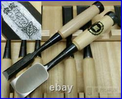 Japanese Carpenter Tool Oire Nomi 10 Wood Chisels Set Ouchi Banshu Professional