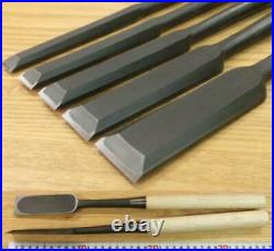 Japanese Carpenter Tool Oire Nomi 10 Wood Chisels Set Tasai Fusetsu White Oak FS