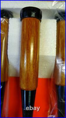 Japanese Carpenter Tool Oire Nomi 10 Wood Chisels Set Tenko Yoita Red Oak WithTRK