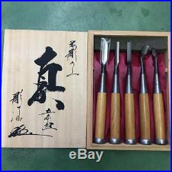 Japanese Carpenter Tool Oire Nomi 5 Wood Chisels Set Kasei Seigen Echigo Yoita