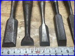 Japanese Chisel Lot Set of 10 Oire Nomi Sakurani Nippon Ryutaro Vintage Tool