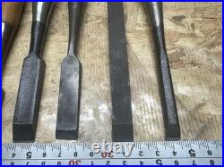 Japanese Chisel Lot Set of 10 Oire Nomi Sakurani Nippon Ryutaro Vintage Tool