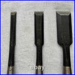 Japanese Chisel Oire Nomi 5pc Set Woodworking Tool Nomikatsu Special Order