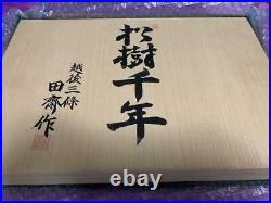 Japanese Chisel Tasai Oire Nomi Wood Grain Rare Quadruple Back 10set