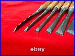 Japanese Chisel Tasai Polished Finish Dovetail chisel 10set custom-made